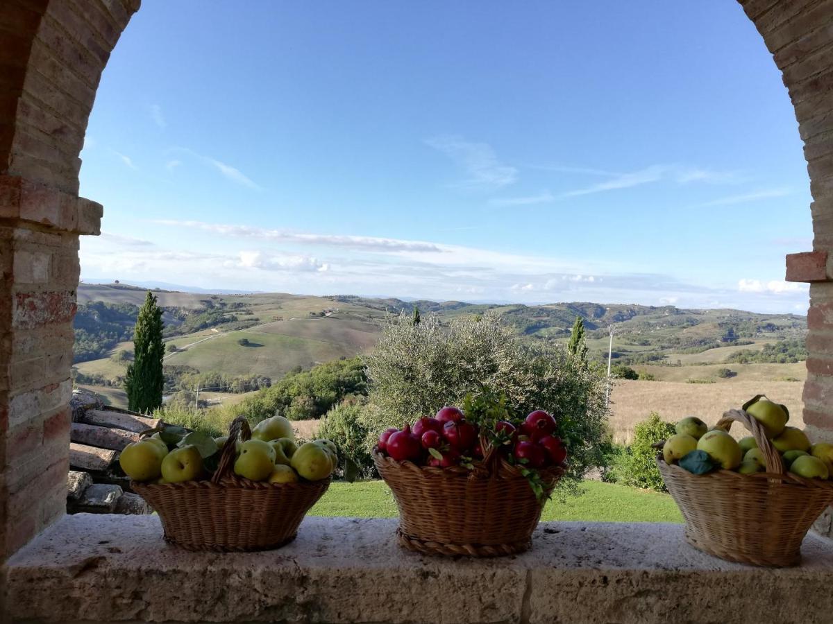 Agriturismo Monsole - Montalcino Buitenkant foto